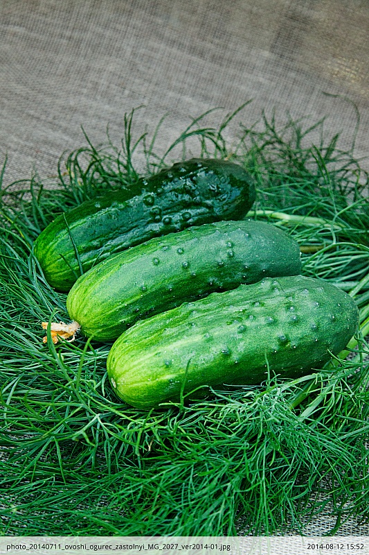 Огурец Застольный F1 0,25 гр цв.п (Био-старт)